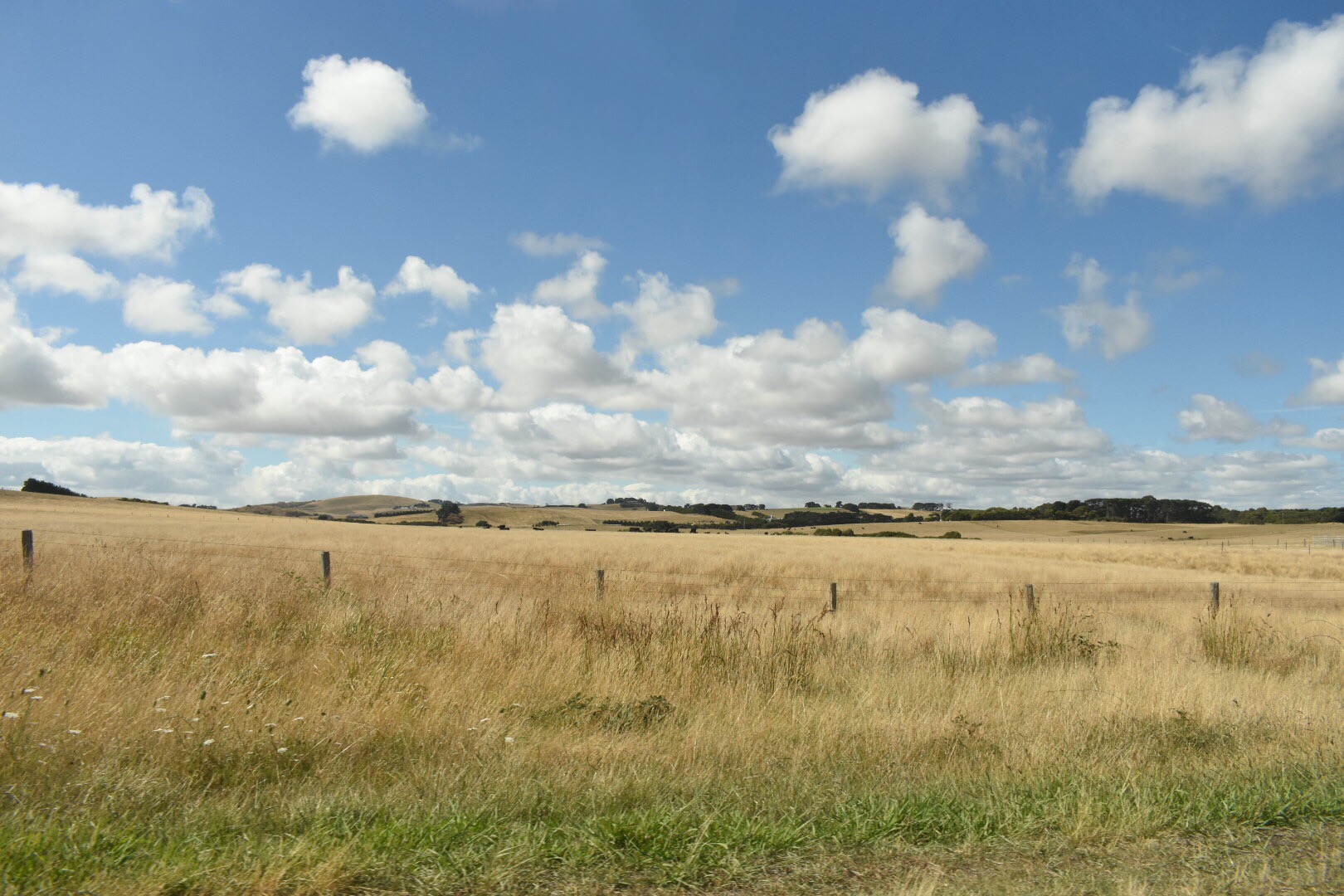 56095C52-8FFF-40AA-9EA1-CB8991BFBFA6