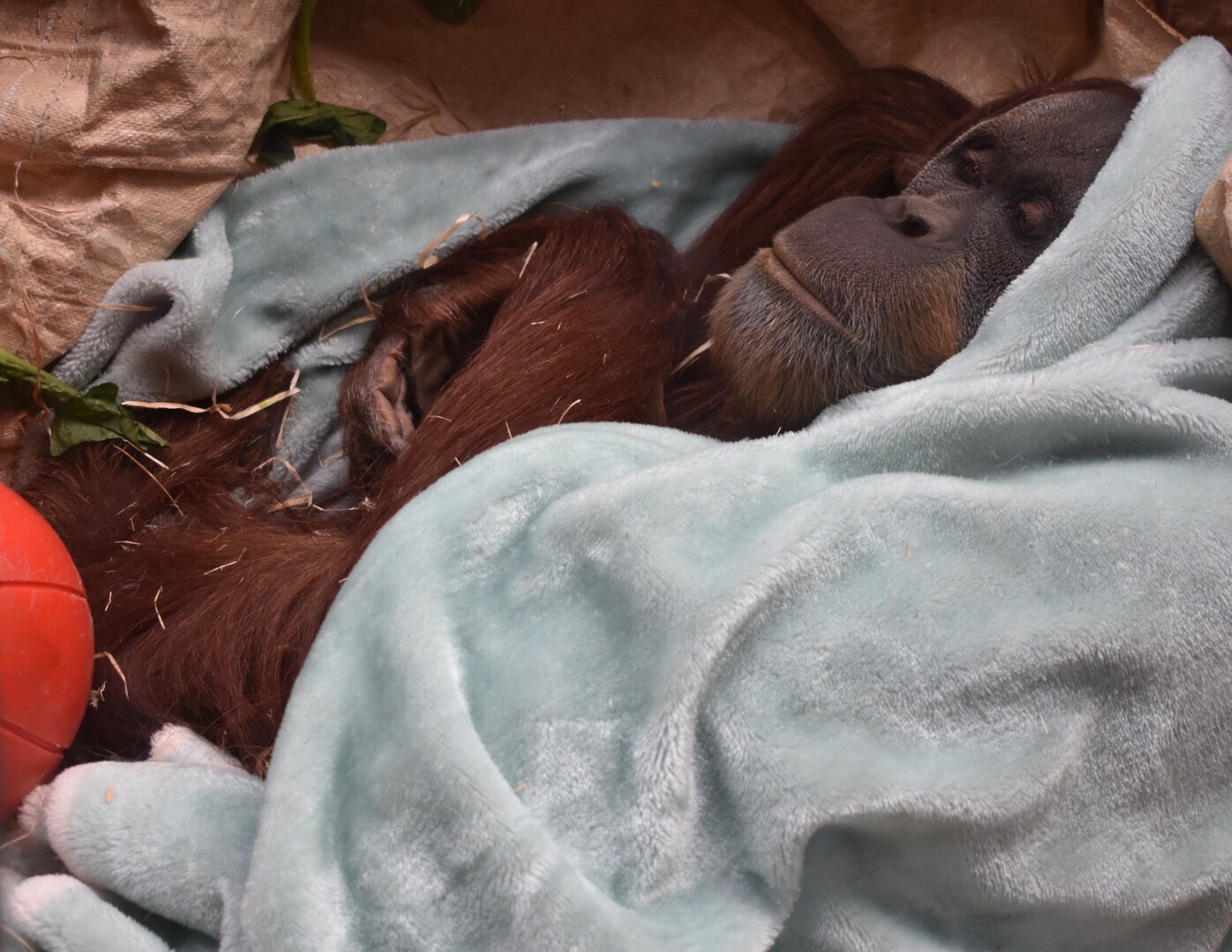 C1E748E2-9D62-454D-B93A-979CA6194210